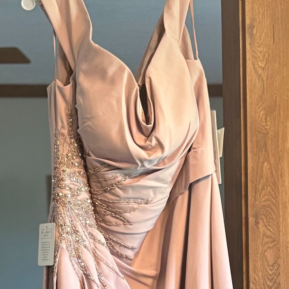 Rina diMontella Designer Mother of the Bride Dress- Size 20-Color Blush